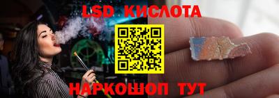 гидра Заводоуковск