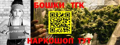 гидра Заводоуковск