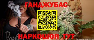 гидра Заводоуковск