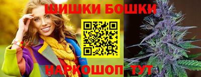 гидра Заводоуковск