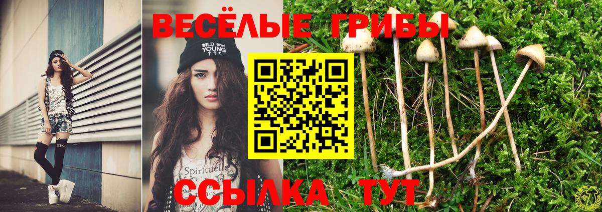 Псилоцибиновые грибы мухоморы Волгодонск