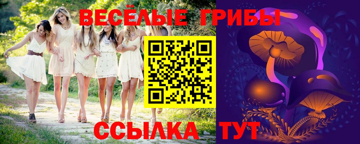 Галлюциногенные грибы ЛСД  Псилоцибиновые грибы Cubensis  Вход с VPN  Волгодонск 